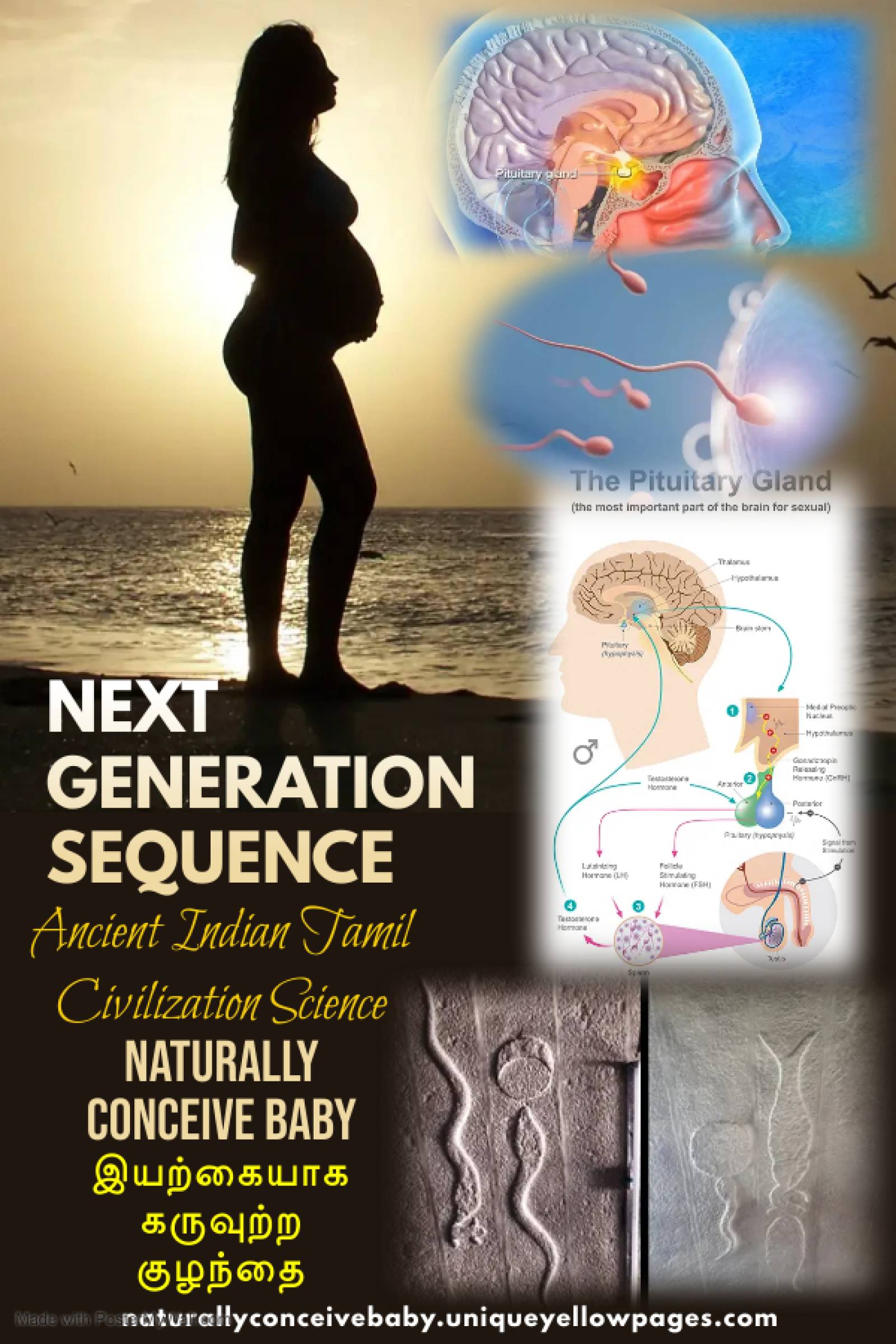 Naturally Conceive Baby