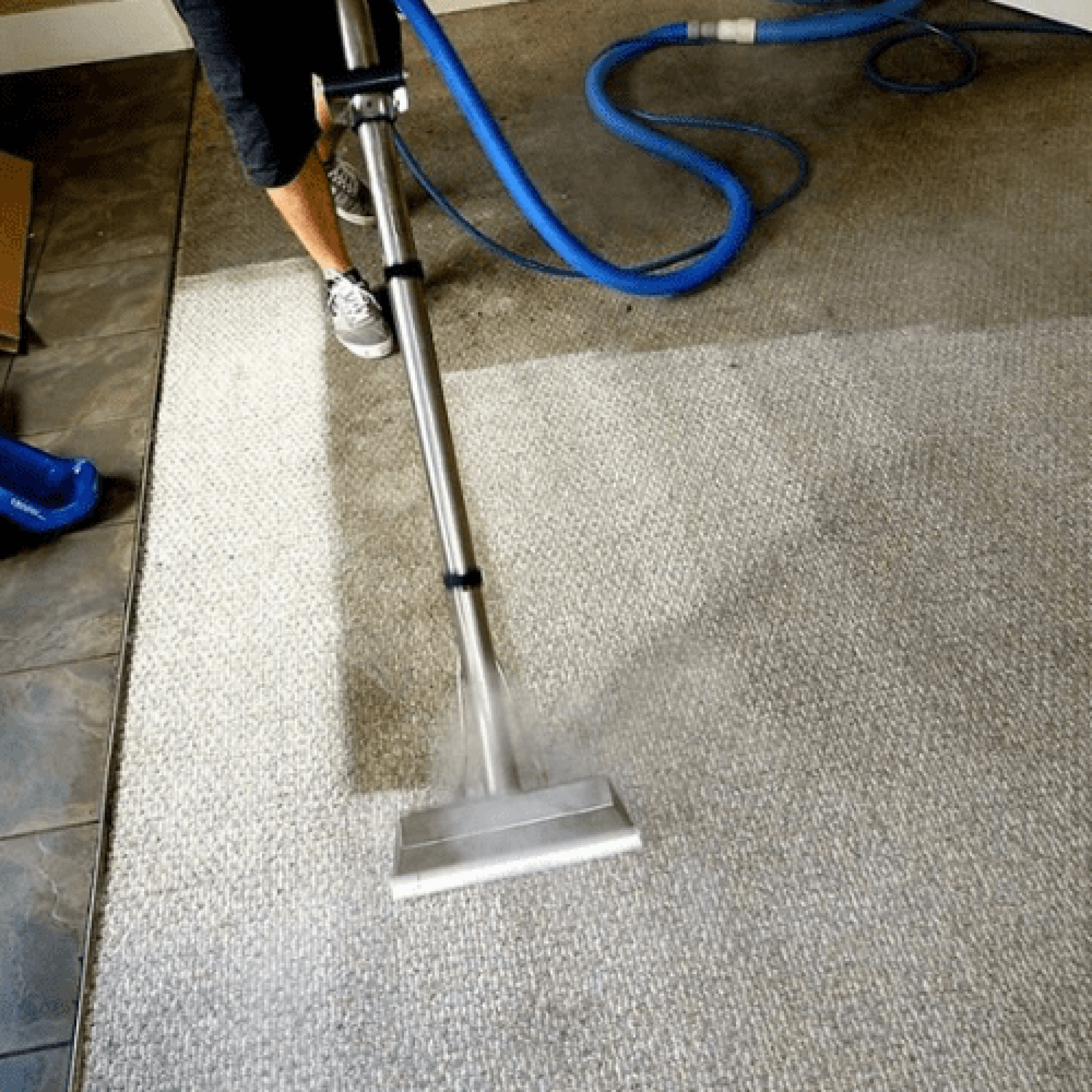 Seaside Carpet & Pest Solutions