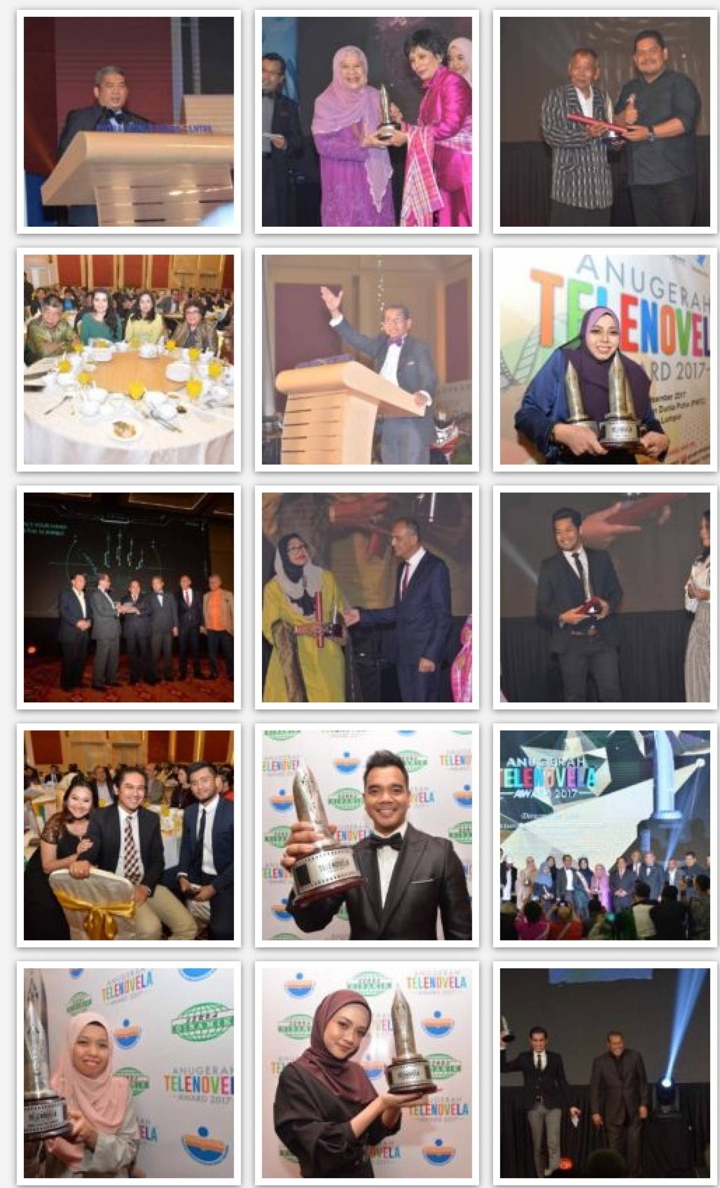 Anugerah Telenovela (AT)