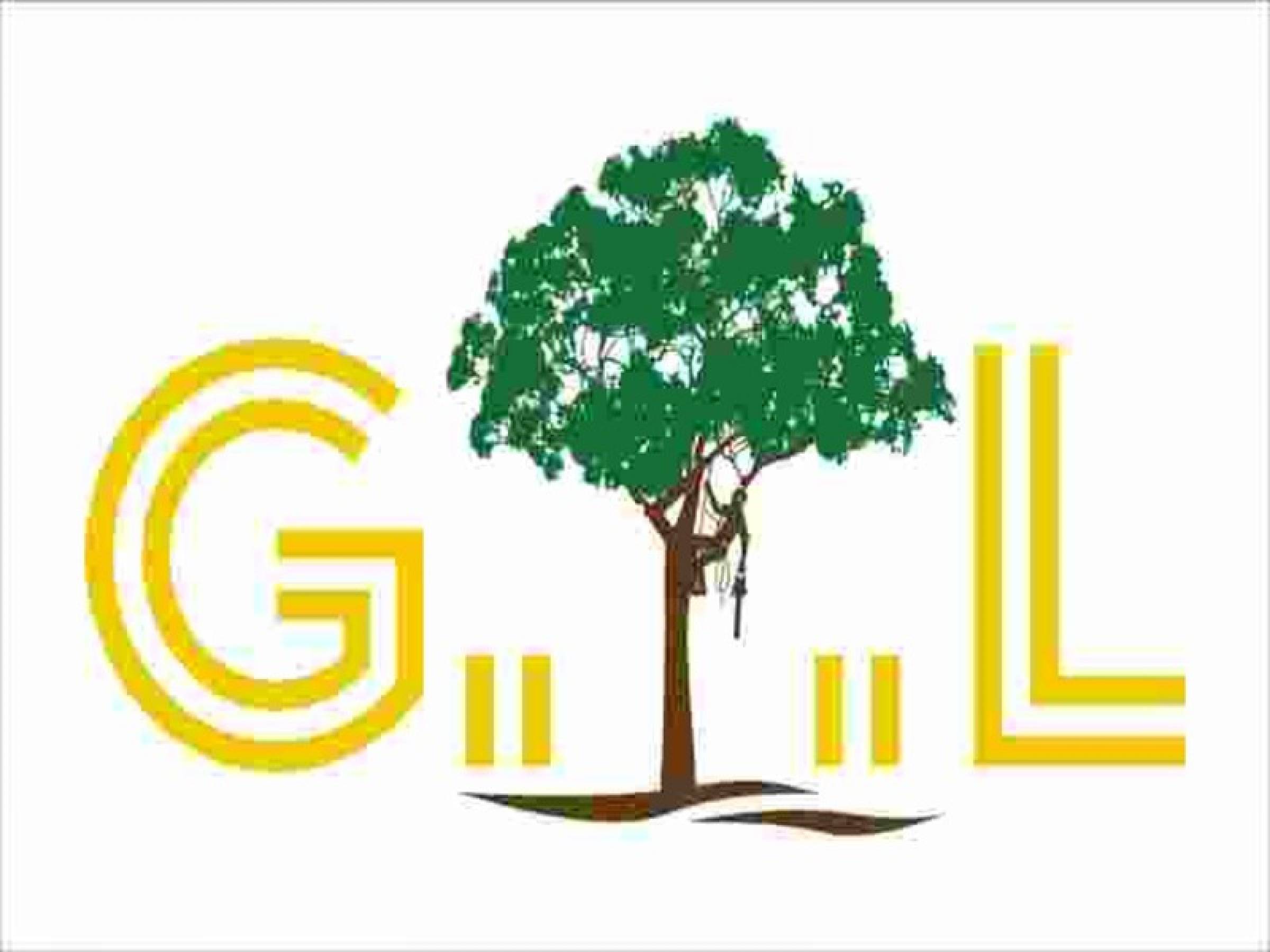 Gomez Trees and Landscaping