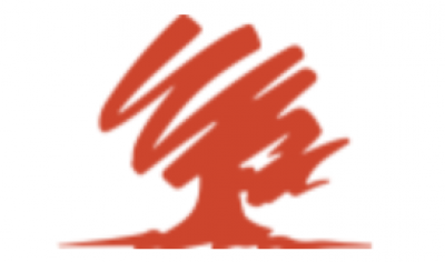 Aldridge Enterprises Inc