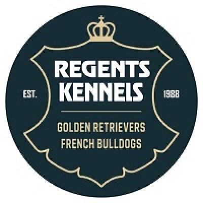 Regents Kennels - Golden Retrievers and French Bulldogs