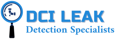 DCI Leak Detection