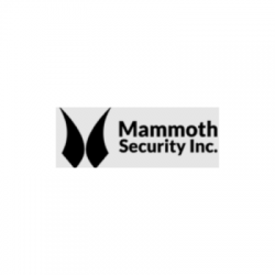 Mammoth Security Inc. New Haven