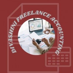 Freelance Accounting Services