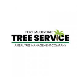 Fort Lauderdale Tree Service